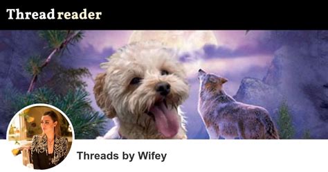 wifey twitter|Wifey's Threads – Thread Reader App.